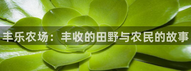 九游会进不去