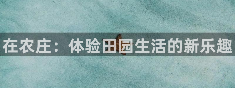 ja九游会