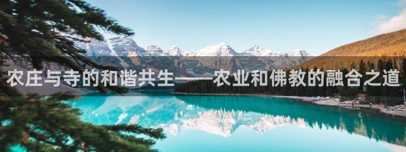 九游游戏股票会退市吗吗