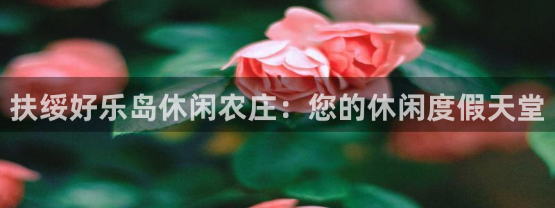 九游会游戏登陆