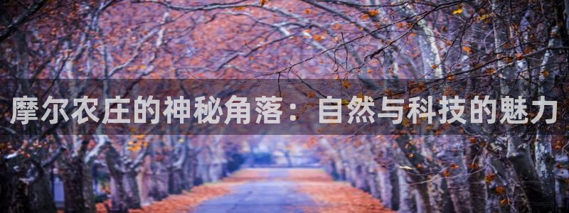 九游会与俄罗斯专享会