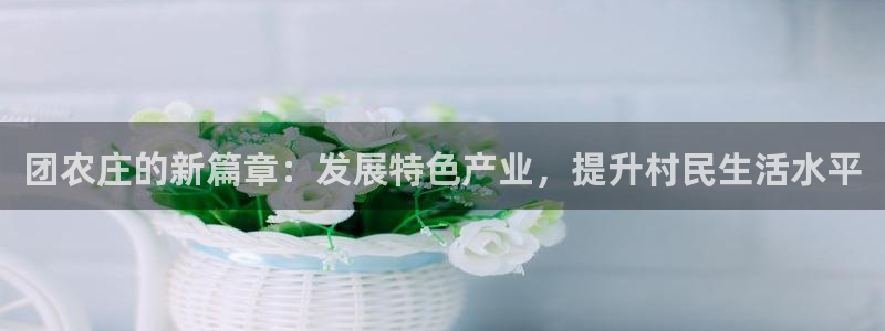 九游会网站赢了