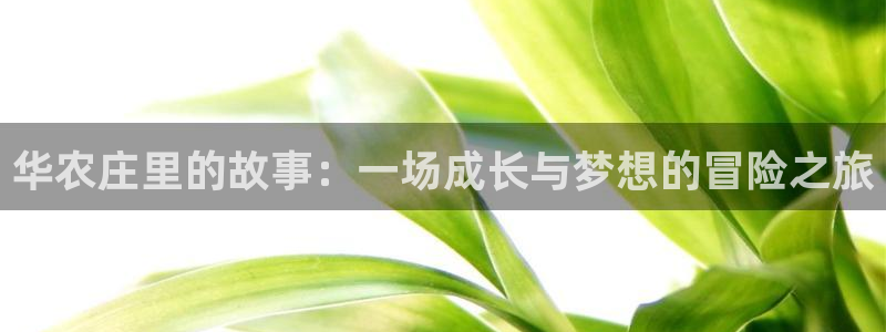 九游会官方网站