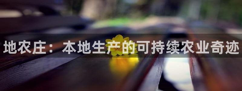 九游会jy