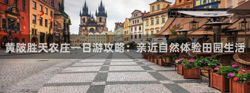 九游会黑网投诉吗