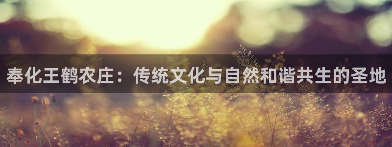 九游会 app