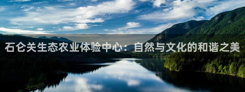 AG更名九游会