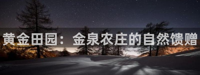 九游会vip