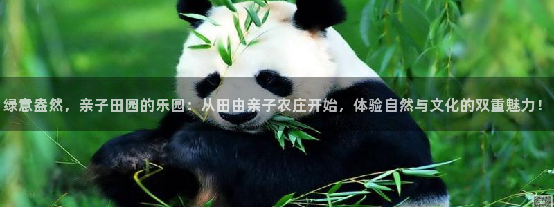 九游会JY官网