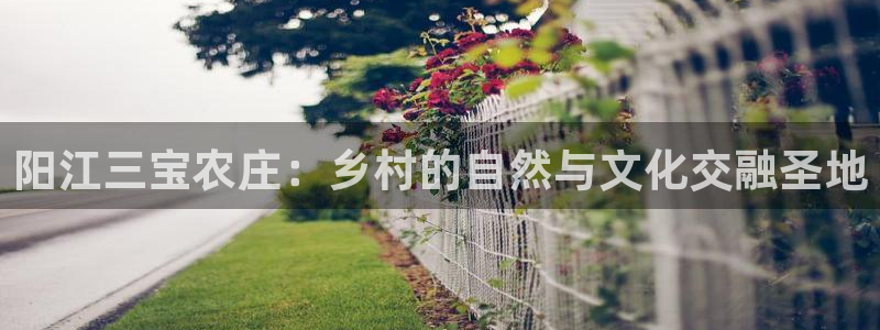 九游会木马