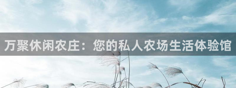 九游会官方网址欢迎您