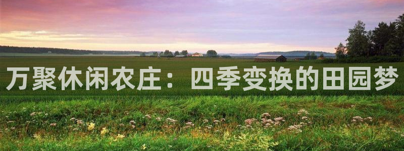 新版九游会