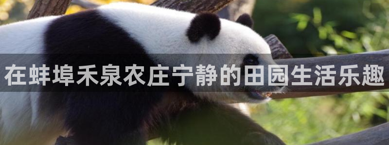 j9九游会官方网站国际