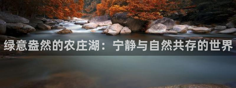 九游会论坛老哥