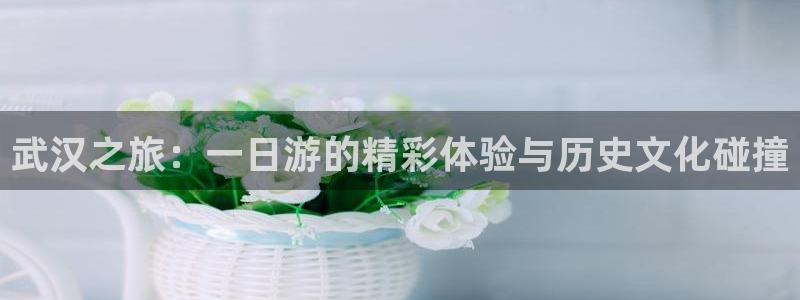 九游会充币