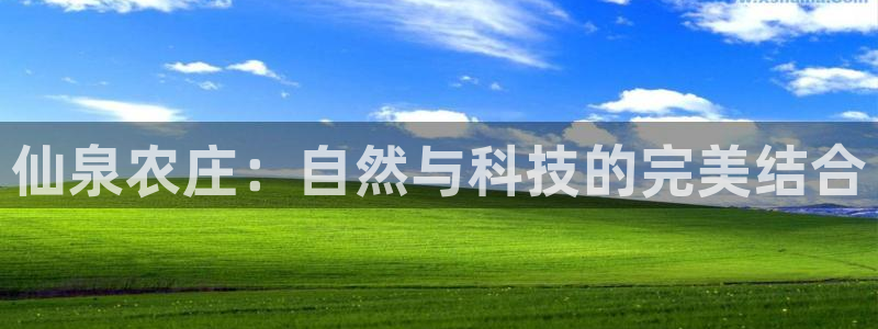 九游会官网下载安装