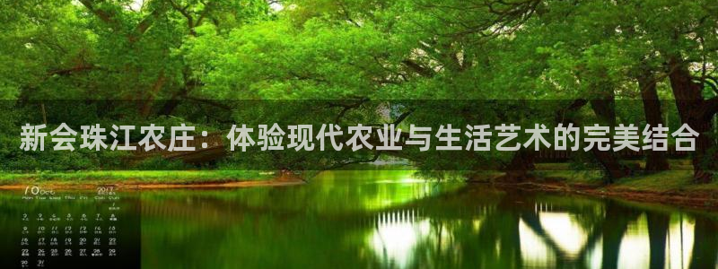 我的九游会