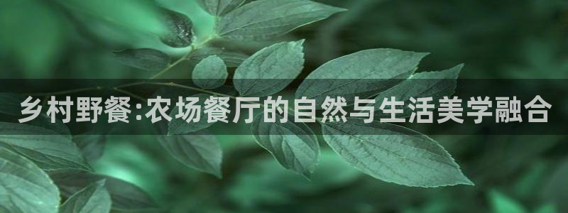 九游会黑网投诉吗