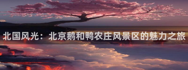 Usdt九游会充值