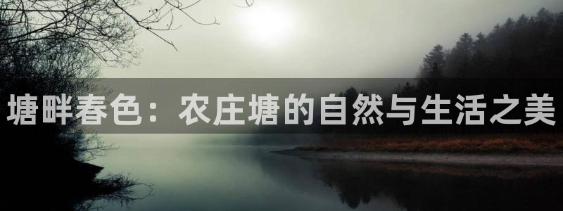 九游会财神