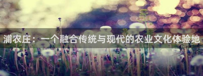 九游会老哥交流