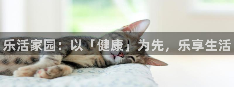 九游会官网手机版本