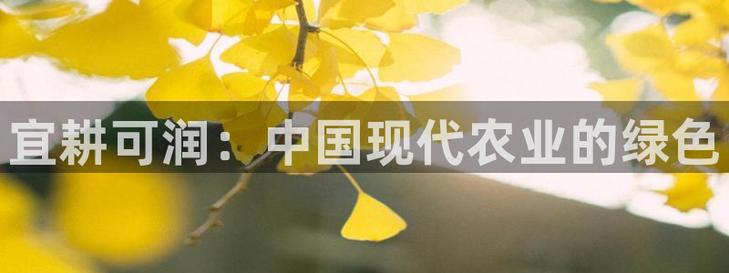 九游会公司介绍