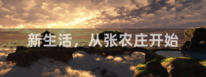 九游与九游会