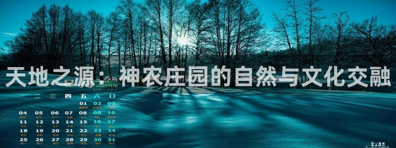 九游会赌场在哪