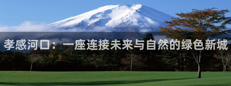 九游会体育比分