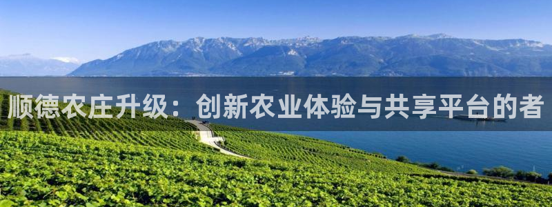 九游会足彩