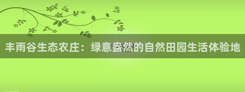 在九游放视频会怎么样啊