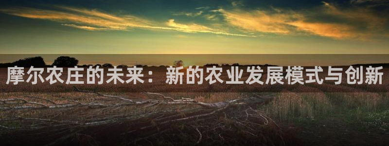 j9九游会app