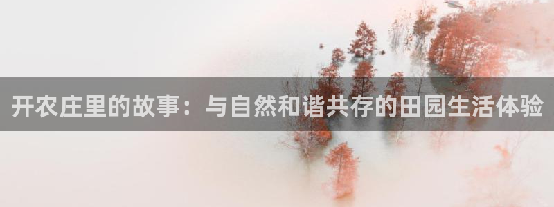 九游vip会过期吗