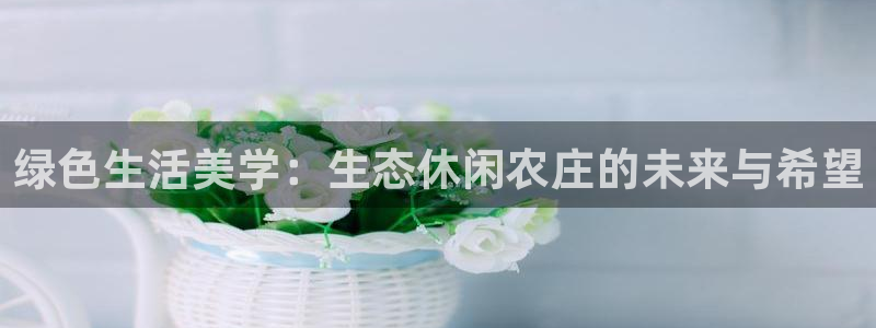 九游会ag 只为非凡