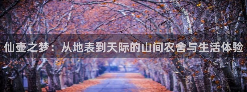 ag变九游会