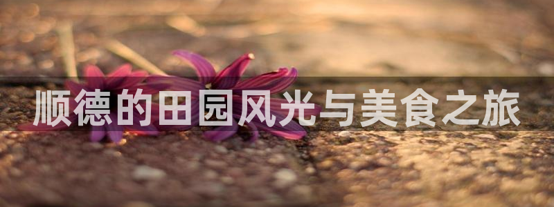 ag九游会老版