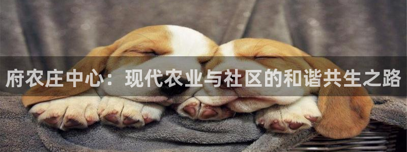 九游会气派