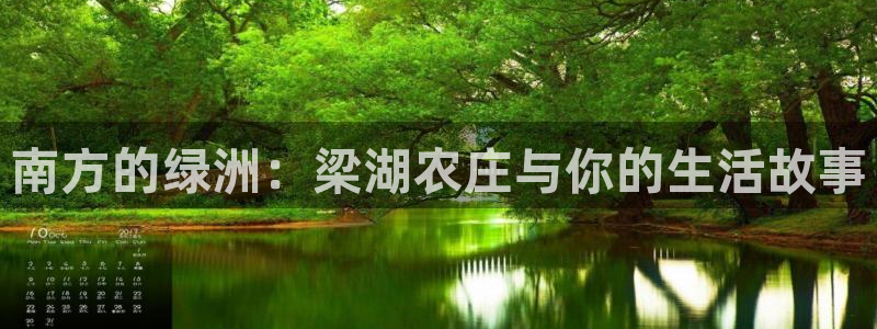 九游会老哥网