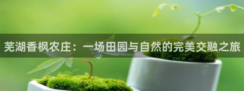 亚游游戏九游会
