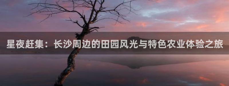 九游会的网址九