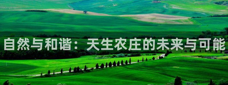 九阴手游青龙会怎么玩