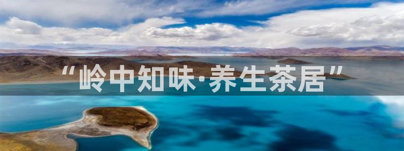 九游会输钱