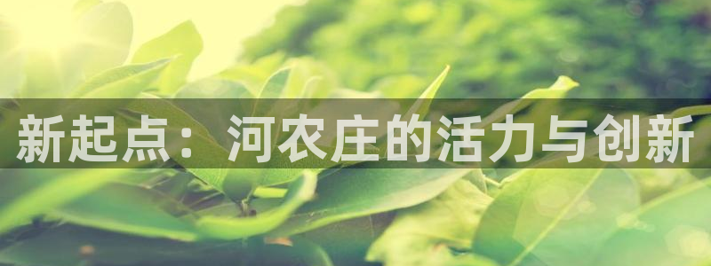 做九游返利会封号嘛