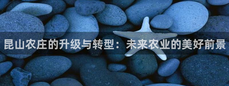 ag九游会开发