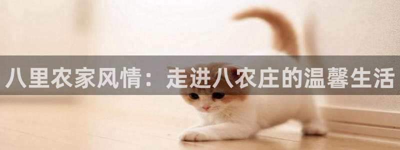 九游会网站网址