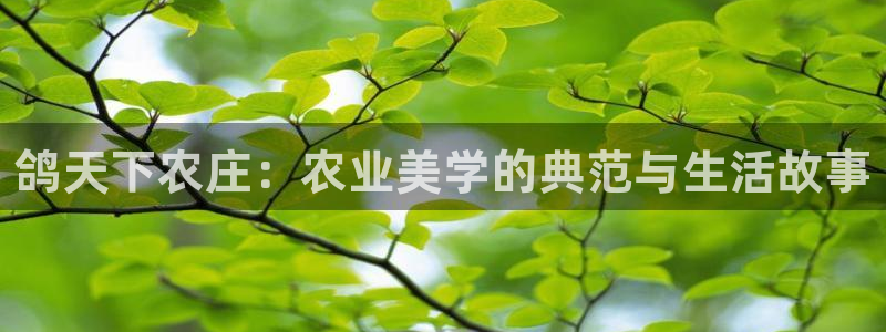 九游会平台洗钱