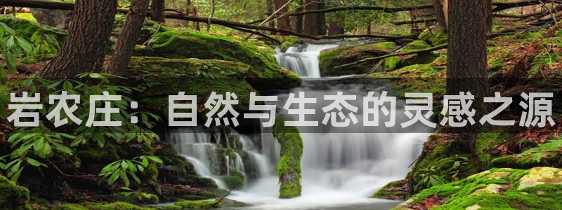 九游会手机网址