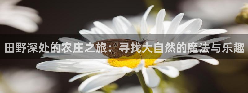 j9九游会老哥