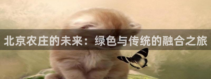 AG九游会导航